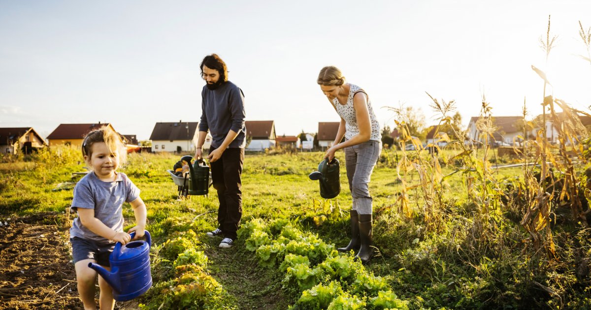 3 raisons de déménager à la campagne